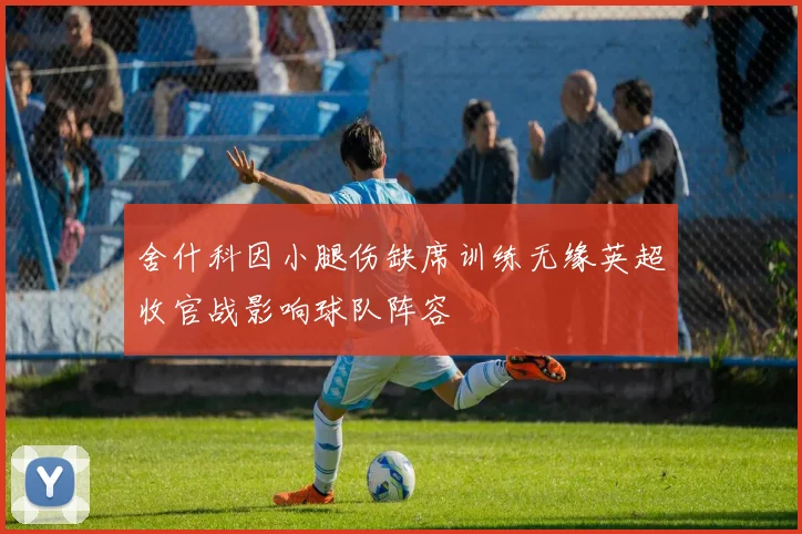 舍什科因小腿伤缺席训练无缘英超收官战影响球队阵容